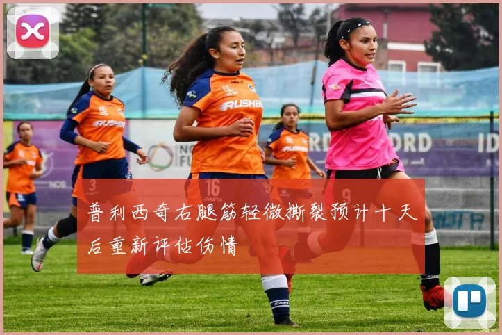 普利西奇右腿筋轻微撕裂预计十天后重新评估伤情
