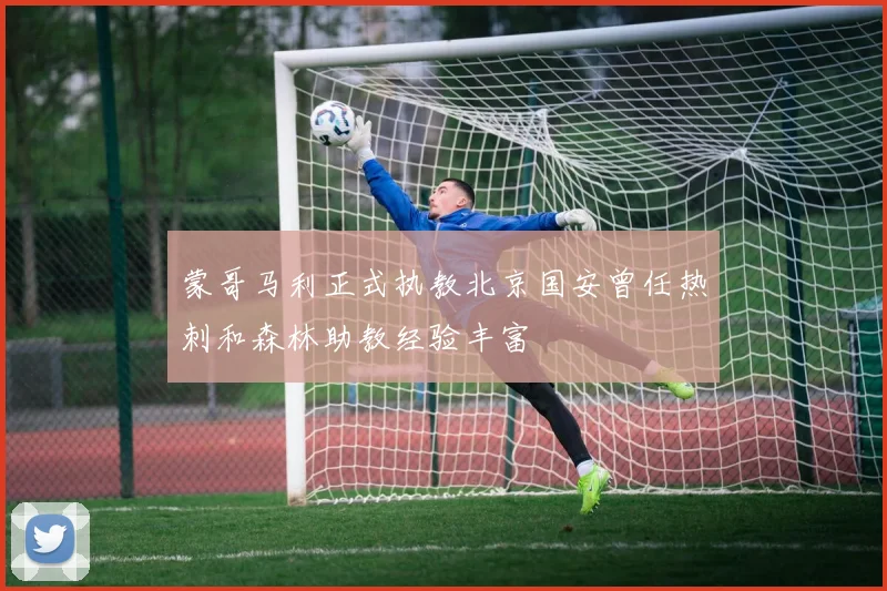 蒙哥马利正式执教北京国安曾任热刺和森林助教经验丰富