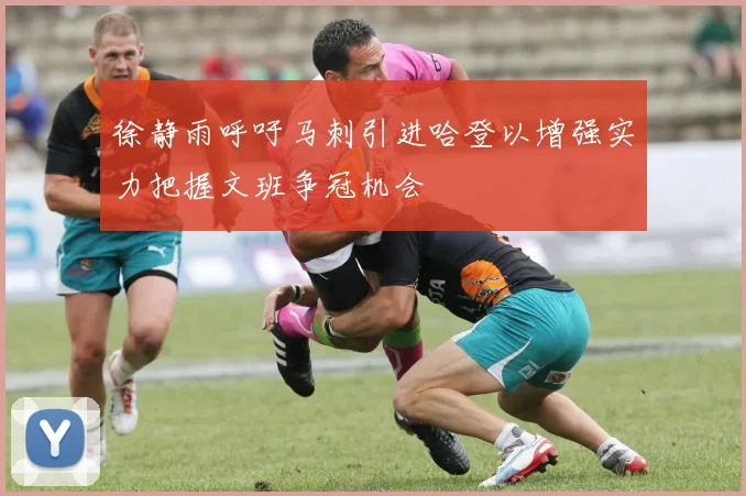 徐静雨呼吁马刺引进哈登以增强实力把握文班争冠机会