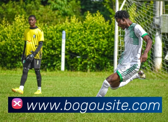 App Interface Preview