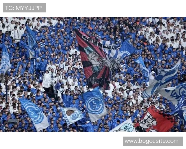 沙尔克04参与哲科争夺战巴黎FC等多队同样表现出浓厚兴趣 沙尔克04参与哲科争夺战巴黎FC等多队同样表现出浓厚兴趣